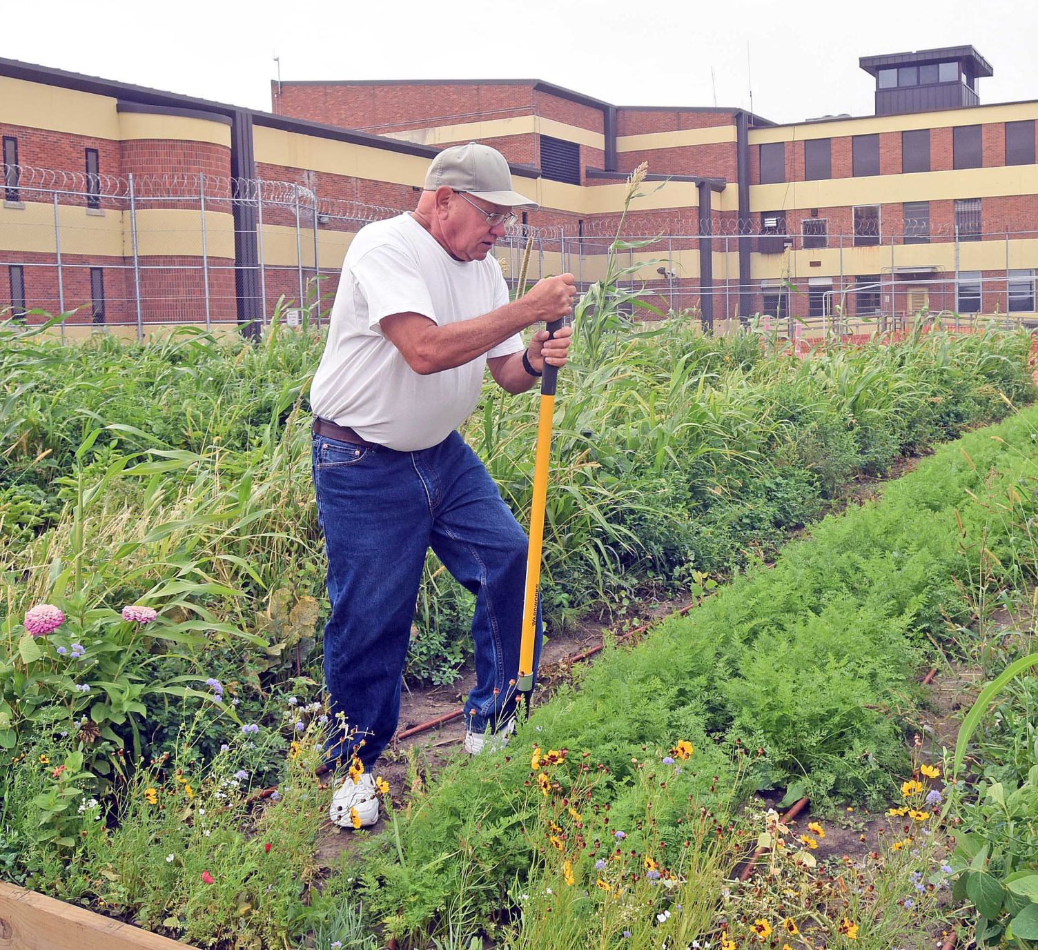 Prison garden